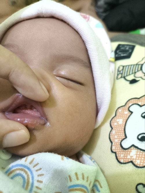 maaf izin tanya ya bun