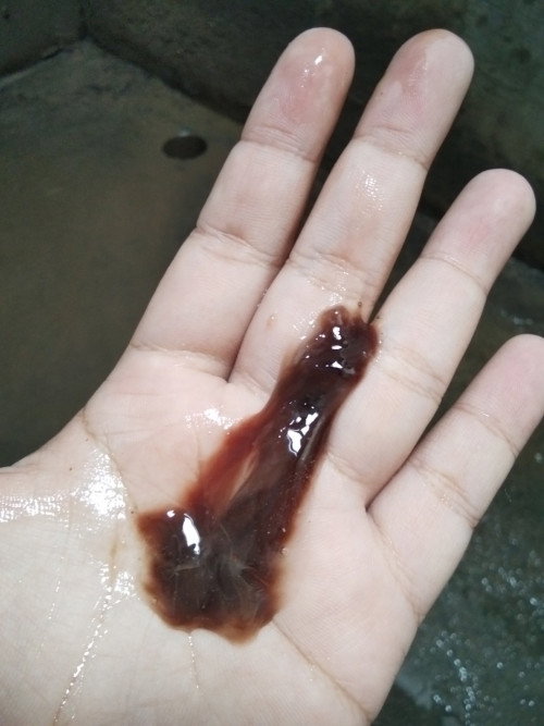 Assalamualaikum bunda bunda