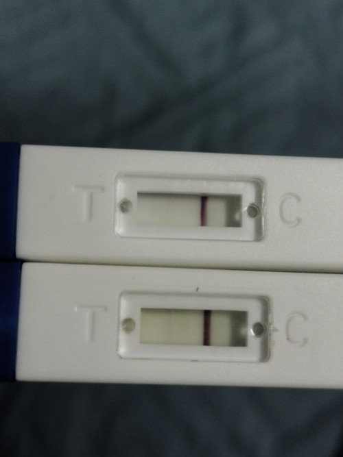 แม่ๆช่วยดูหน่อยค่ะว่าท้องหรือไม่ท้อง