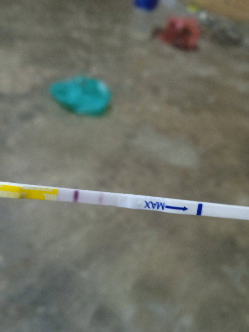 Bingung sama hasil tespeck 😣