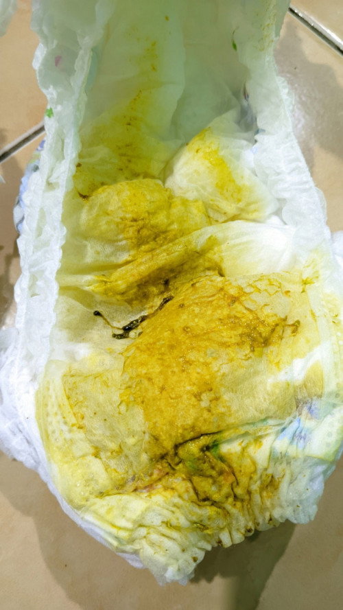 Izin tanya dan bisa bagi dong pengalamanya