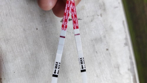 Telat haid 4 hari, sudah tespek garis 2 tapi samar, tapi tiba2 keluar darah haid