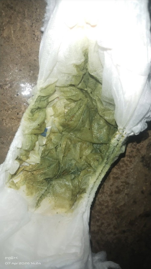 Pup bayi berwarna hijau