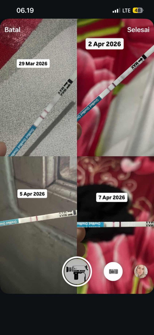 Garis pada test pack
