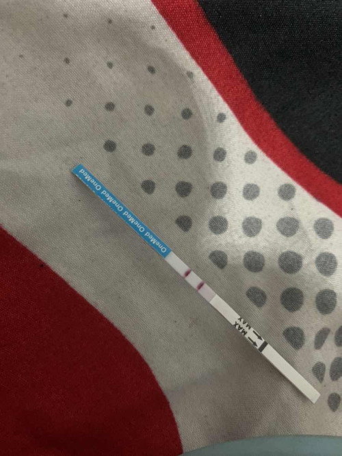 tolong yg tau dong