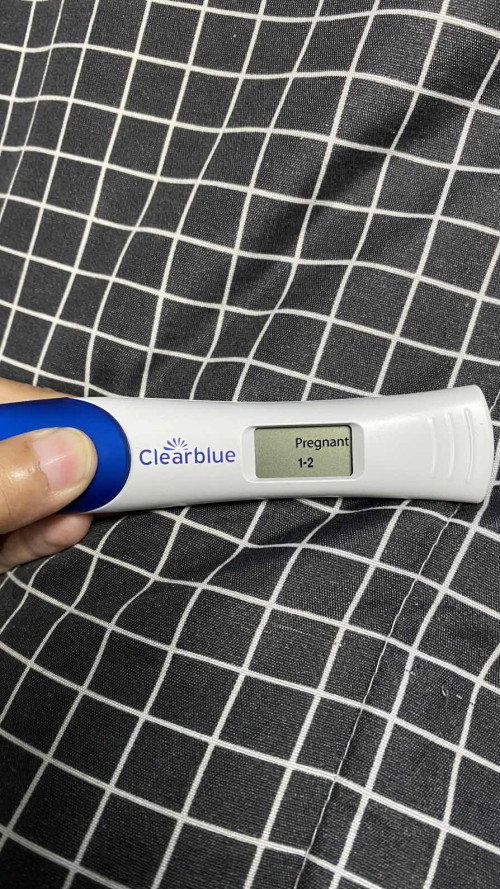 Pregnant test