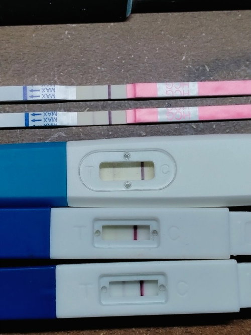 อันนี้คือมาชัวร์ไหมคะแม่ๆ