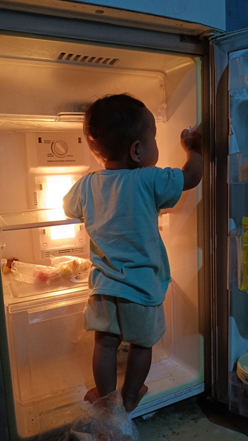 rekomendasi bb booster