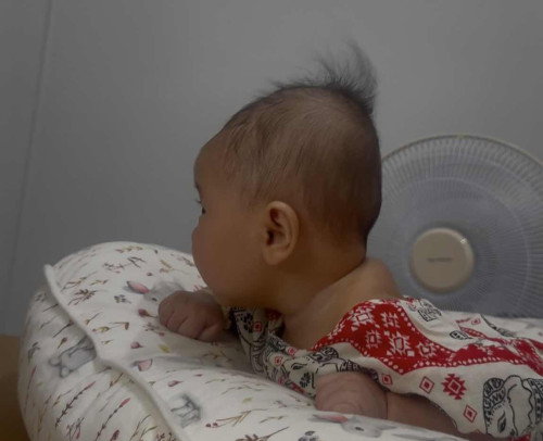 ดูลักษณะหลังคอลูก