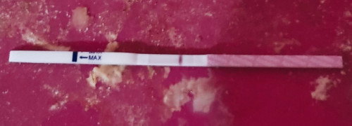 Tolong saya, baca tespek