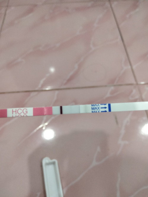 การตั้งครรภ์