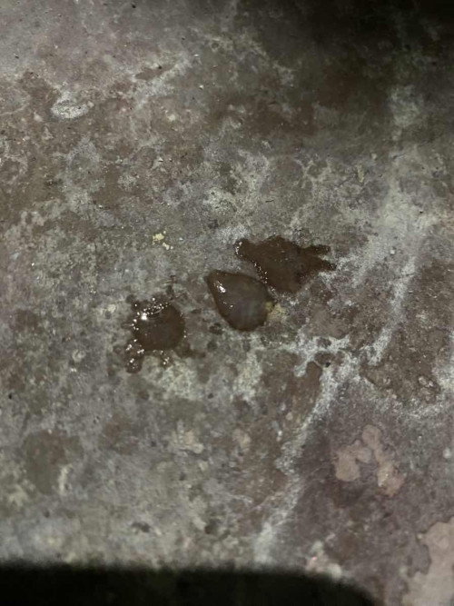 ท้องได้37สัปดาห์ มีน้ำไหลออกมาเป็นแบบนี้