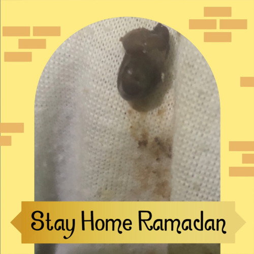 Bun maaf jorok mau tanya