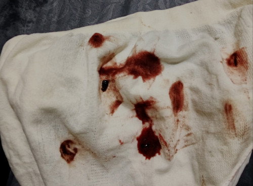 Mohon minta do'anya ya Bunda2🙏🏻