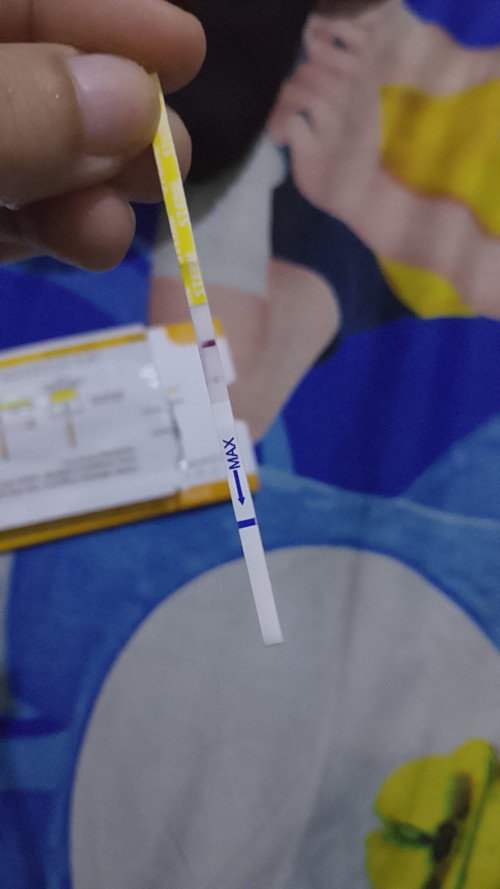 Garis 2 Samar