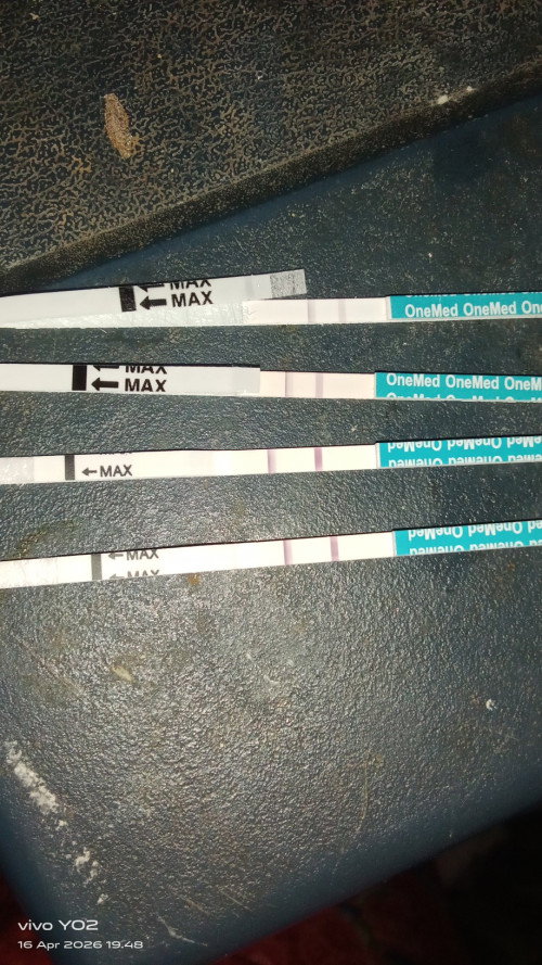 Bun aku kan iseng di TP karna blum haid sesudah keguguran tgl 8 maret