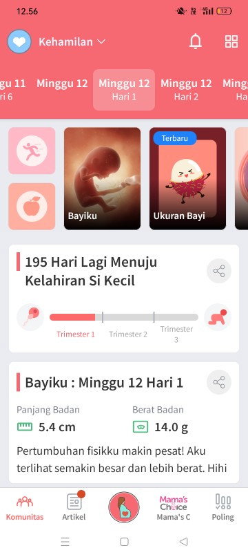 Belum USG hamil 12 Minggu buun ada yg sama gak ??? Baru kebidan aja dapat buku kia