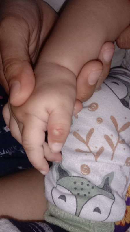 Ada yang tau ini apa