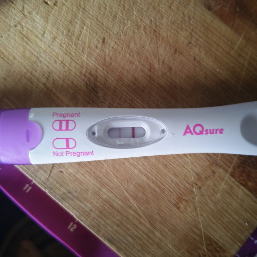 Pregnancy test