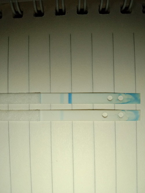 hai nk tnye kalau mcm ni positif x n brpa minggu ye..sy test guna upt clearblue digital..