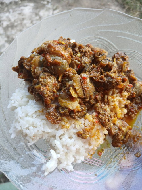 Bumil boleh makan kerang ?