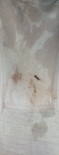 Flek trismter 1