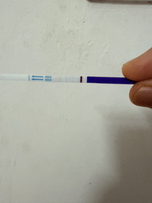 pregnancy test