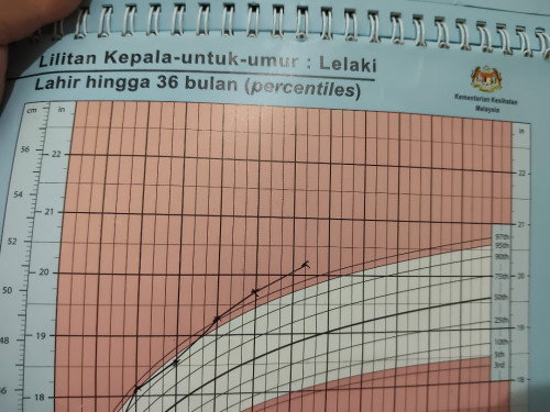 Lilit kepala besar