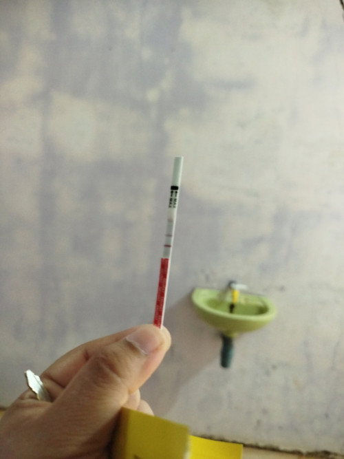 Sudah telat haid 6 hari, apakah pertanda haid?