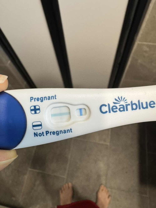 Pregnancy Test