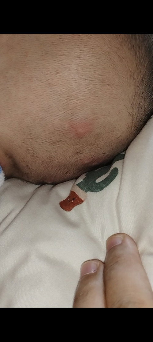 Halo bunda