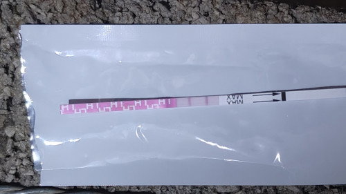 Pregnant x?