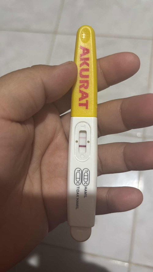 Ragu hamil