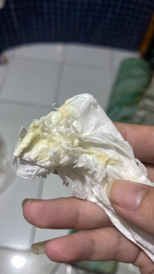 Mau nanya tolong infonya🥹