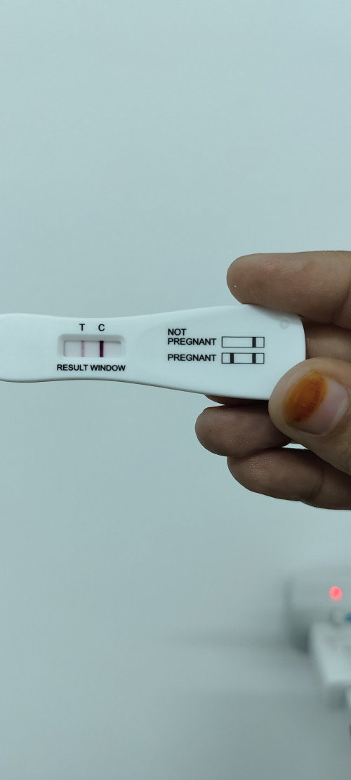 Pregnancy test