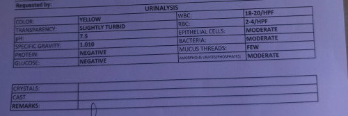 URINE LAB RESULTS 
hello ask po ano po kaya dapat kong gawen or saan bako dapat magpatest ulit?