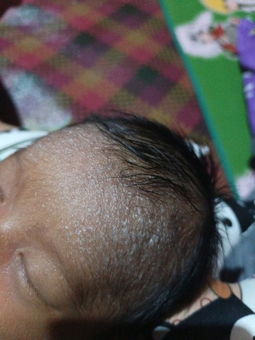 Kasih saran dong buibu
