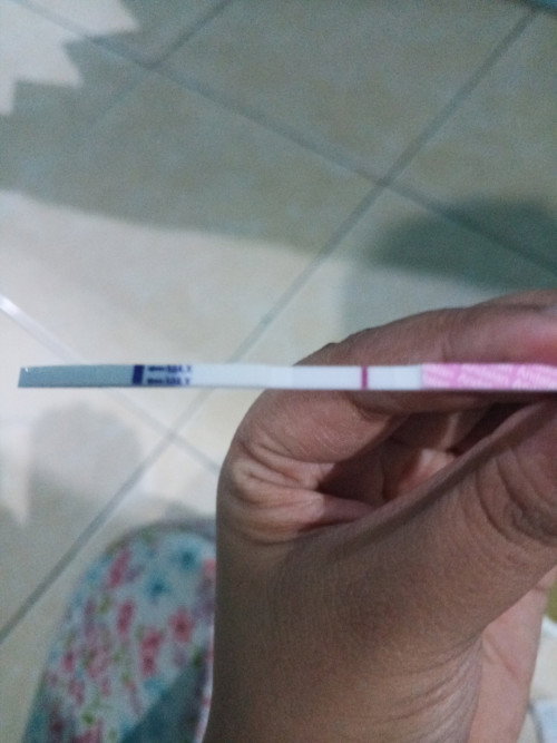Telat haid