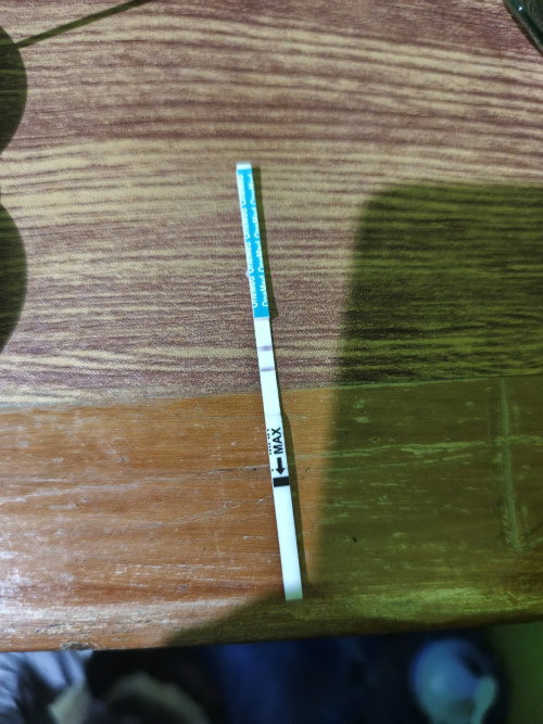 Bund aku tespek pake merk one med dan lambt bnget kebaca tespeknya tapi garis 2 hasilnya, gimana ya?