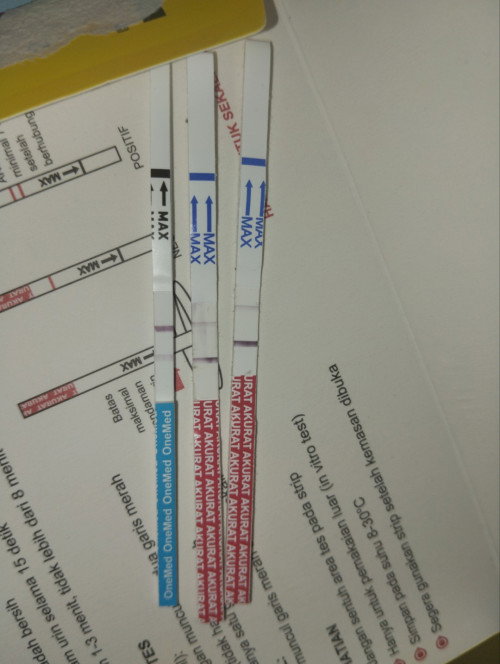 Izin tanya ini saya tdi test Bun TPI yg dibagian test nya lebih tebal dri pada kontrol msh bingung
