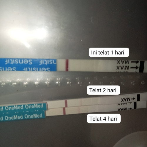 Post reply image
