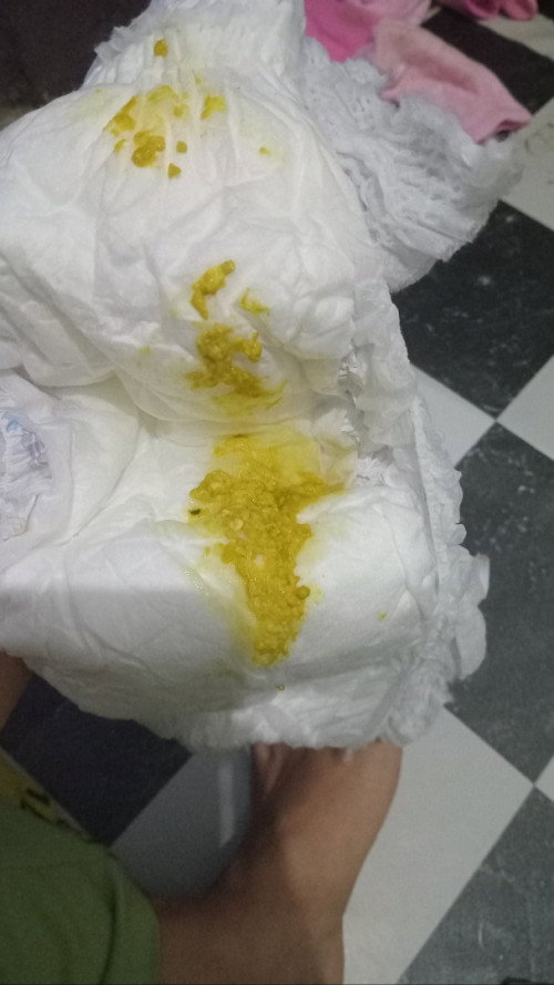 Pup bayi 6 bulan lebih dari 3 kali