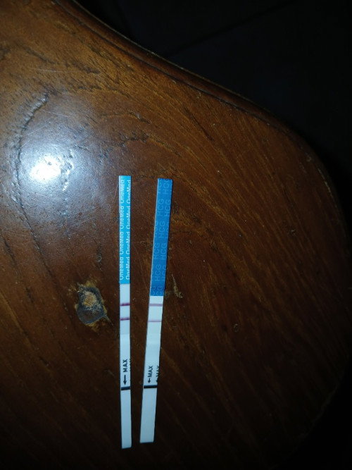 Masa kehamilan