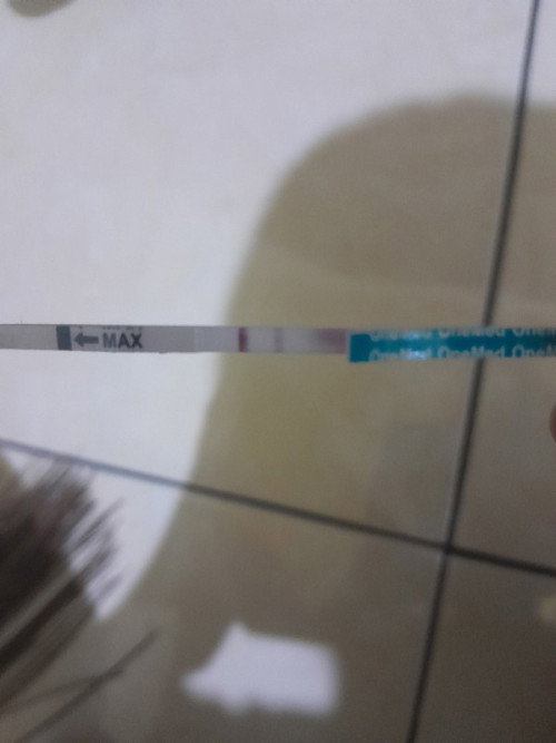 Garis 2 yang di max jelas tapi yg di belakangnya samar, apakah itu hamil?