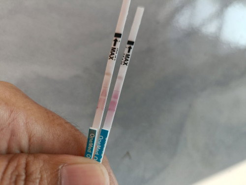 KB iud... Hpht 11 april2026