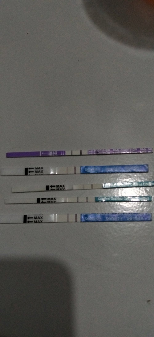 Taspack kehamilan