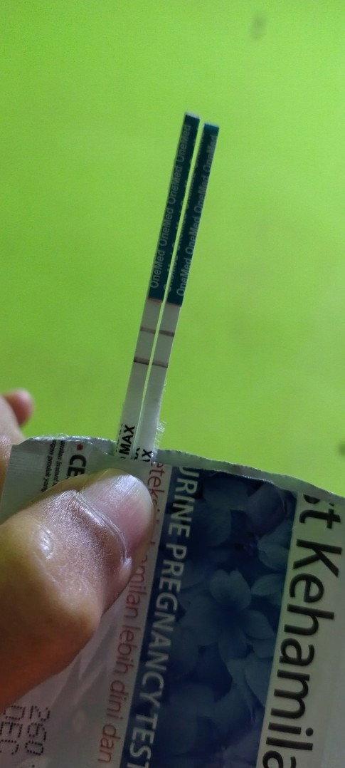Apakah ini termasuk garis yang tebal  (tidak samar)?