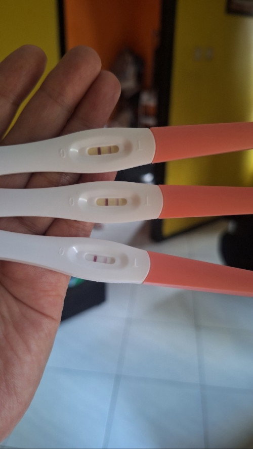Hari ulang tahun hadiahnya garis dua