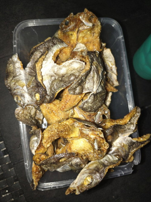 Ask kolang sana kung pwede ba sa buntis Ang rabbit fish ?slmat