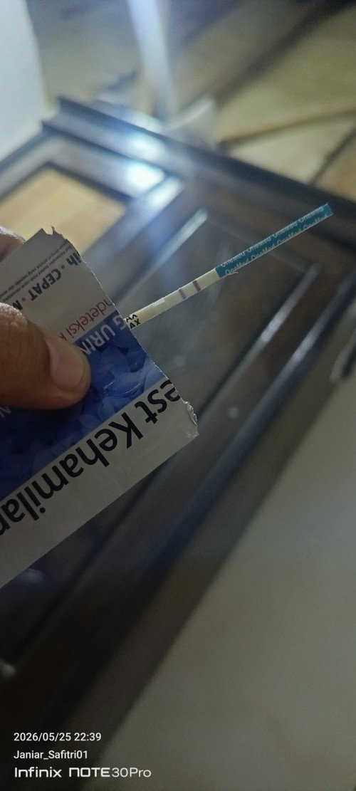 Tentang kehamilan
